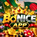 bdnice Game